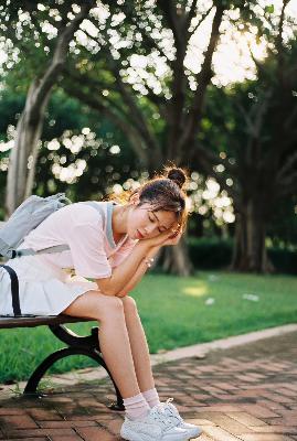 树影迷宫电视剧免费高清观看全集